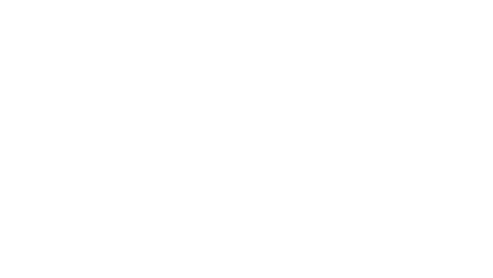 프라이드 토스트