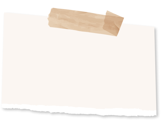 education 백그라운드